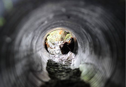 Pipe interior looking toward the exit and greenery beyond